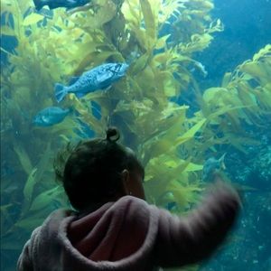 Meet your Posher, Anna